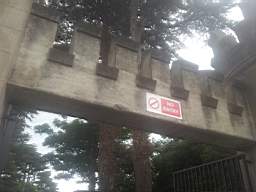 castlepark gate - 10190.jpg